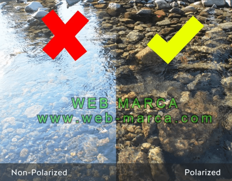 Polarized Sunglasses Test See Through Water Surface