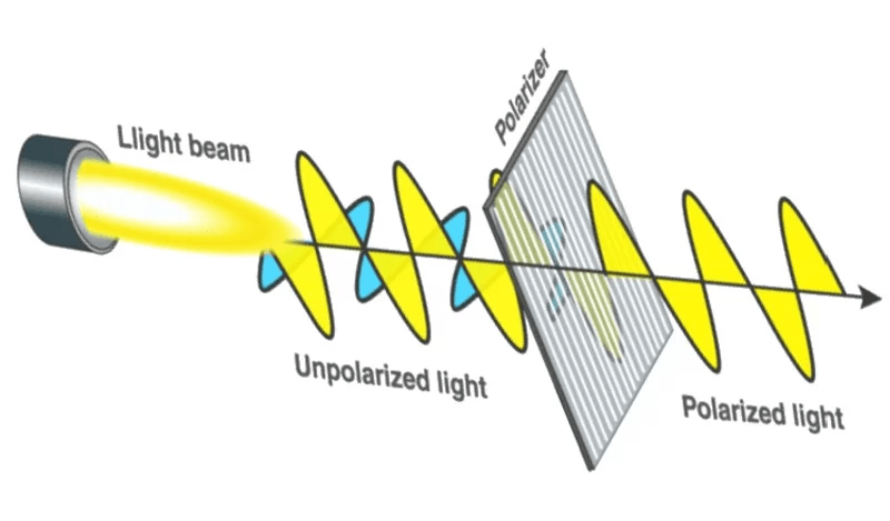 What And How Polarization Works With Lenses